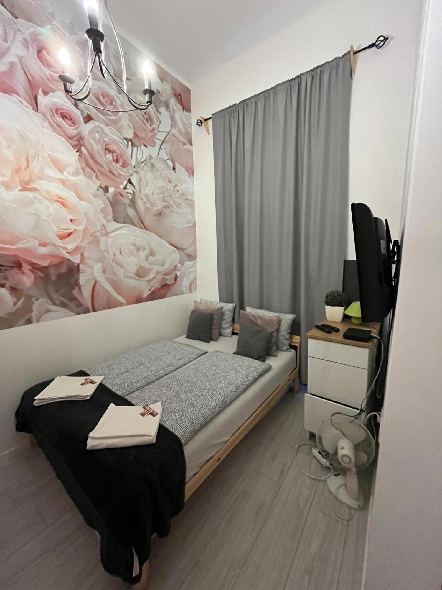 Spring Roses Downtown Boutique Apartment On The Famous Vaci Fashion Street Free Coffee, Tee — Photos 1