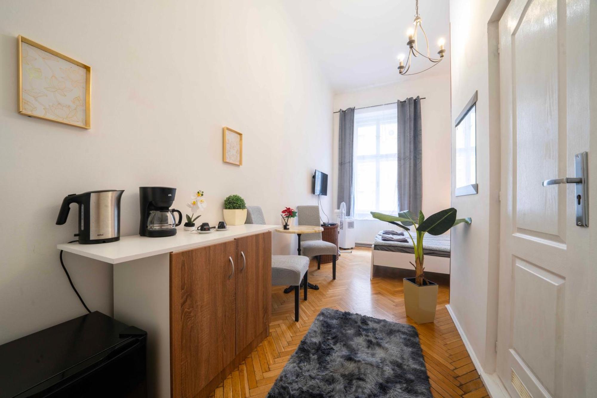Spring Roses Downtown Boutique Apartment On The Famous Vaci Fashion Street Free Coffee, Tee, Budapest