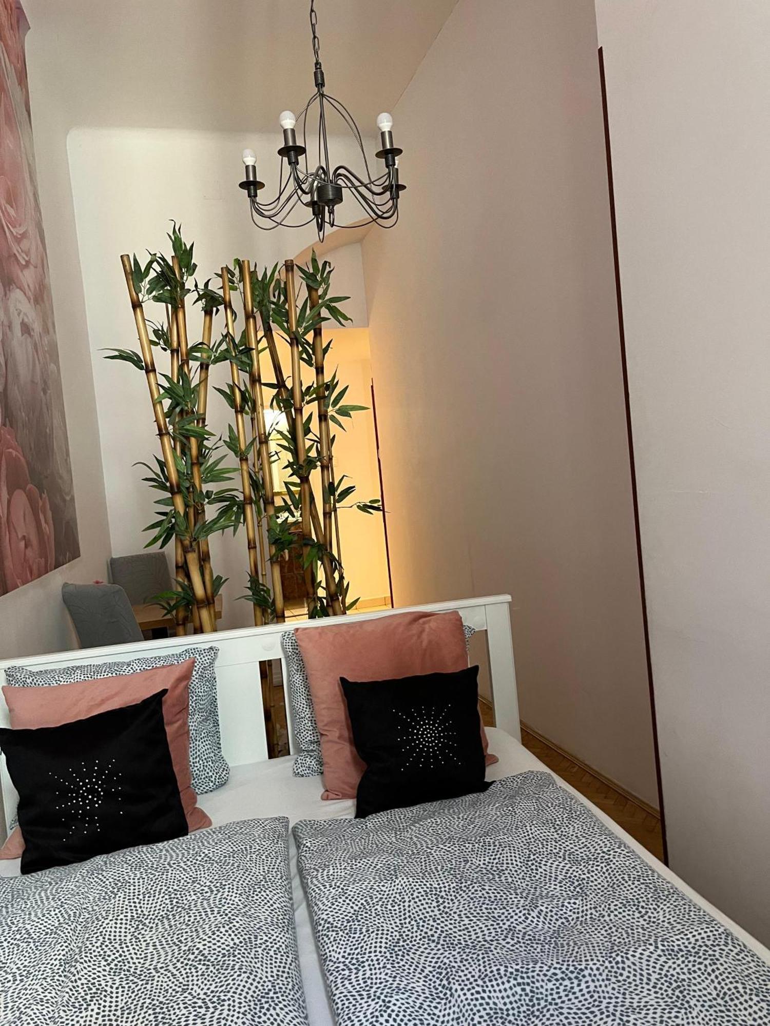 Spring Roses Downtown Boutique Apartment On The Famous Vaci Fashion Street Free Coffee, Tee — Photos 3